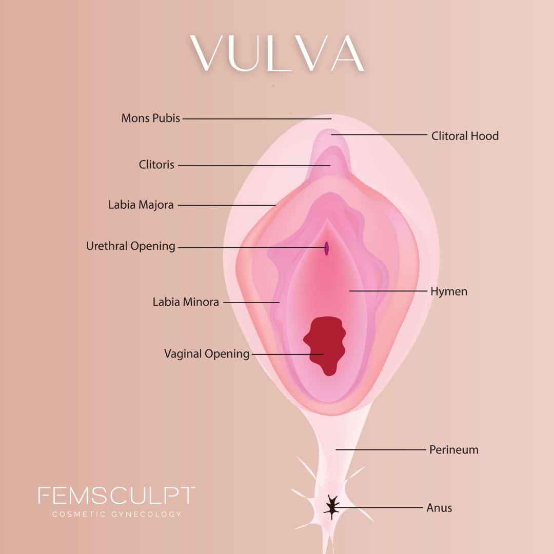 what is a hymenoplasty? femsculpt.com